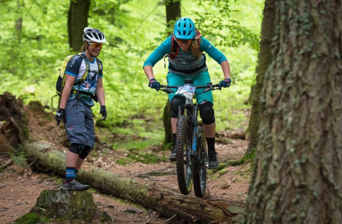 VTT 2